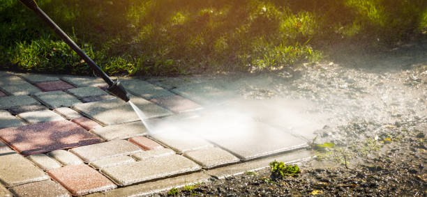 Best Driveway Cleaning and Restoration in USA